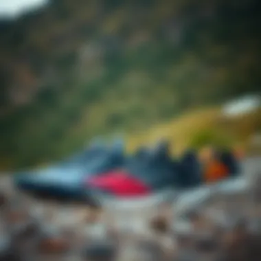 Group of adidas Terrex shoes lined up against a natural backdrop
