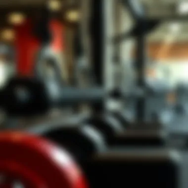 Close-up of training equipment used in performance enhancement