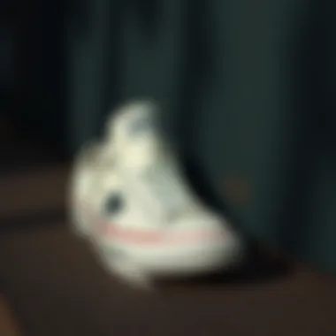 Converse Star Player 76 Premium Canvas: Stil ve Fonksiyonun Buluşma Noktası Summary