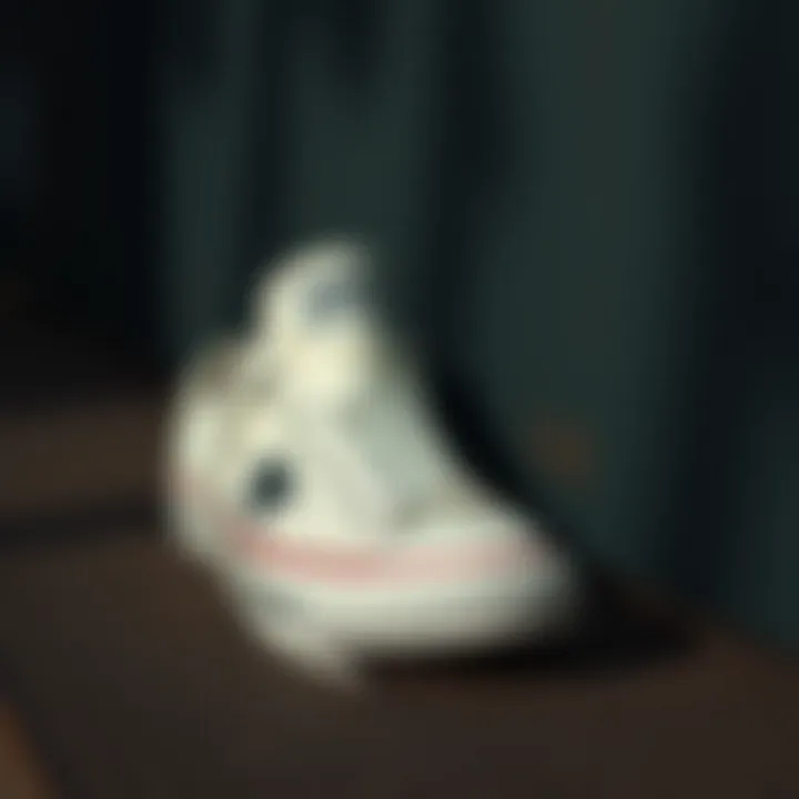 Converse Star Player 76 Premium Canvas: Stil ve Fonksiyonun Buluşma Noktası Summary