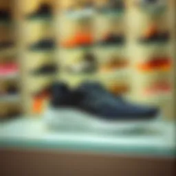 Stylish D'lites Skechers footwear on display