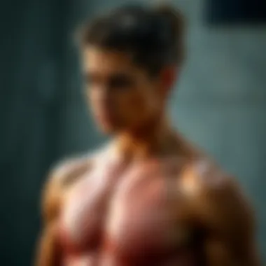 Glycogen storage in the human body