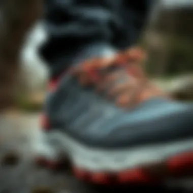 Close-up of Jack Wolfskin shoe detailing