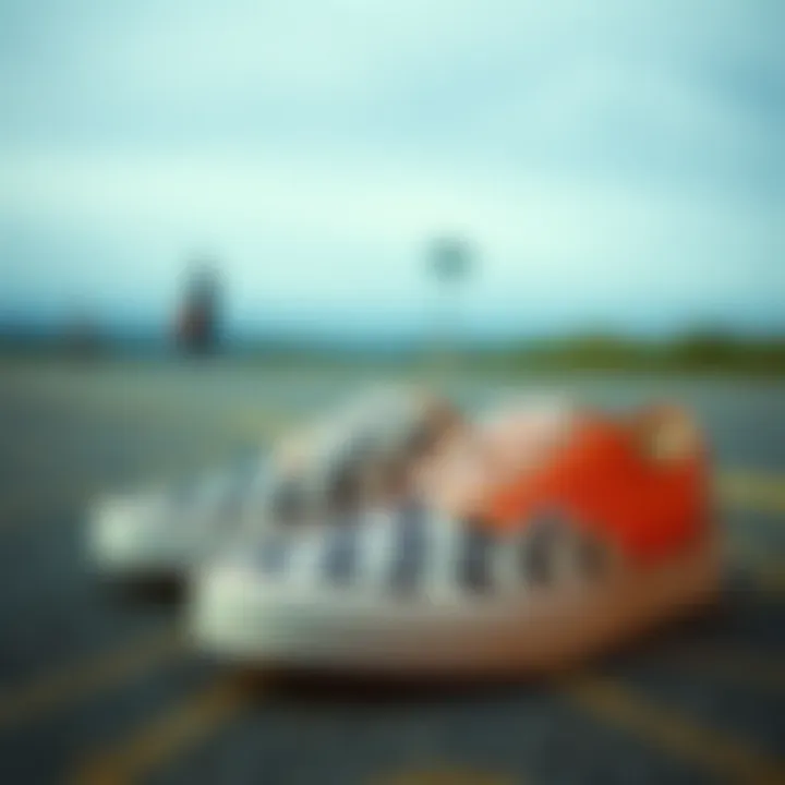 A vintage photo showcasing the history of Vans shoes.