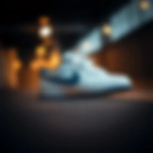 Sleek design of Nike Court Borough shoes