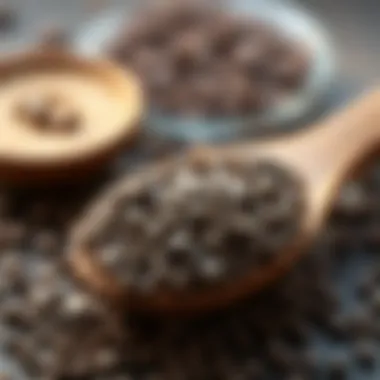 Chia seeds highlighting plant-based Omega 3 sources