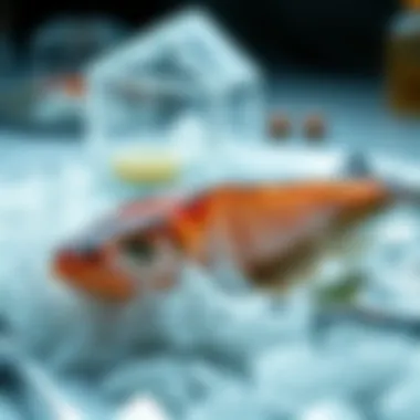 Nutrient-rich salmon showcasing Omega 3 benefits