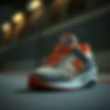 Historical evolution of sports shoes