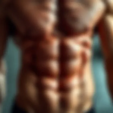 Anatomy of the transversus abdominis muscle