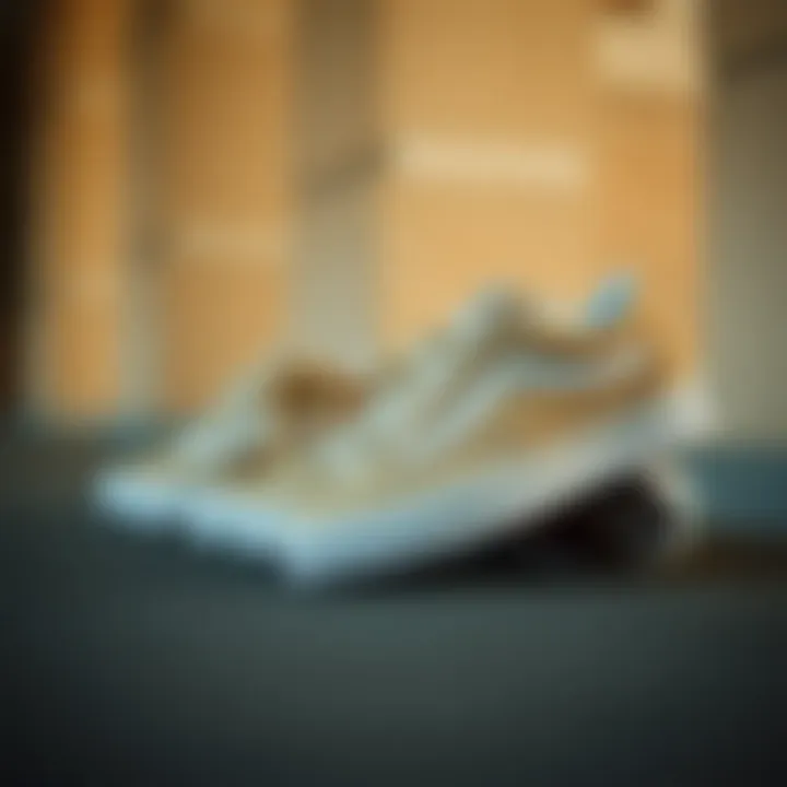 Historical display of Vans Old Skool Beige evolution