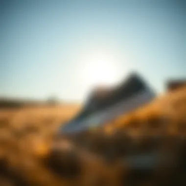 Comfortable fit of Vans UA Era during activities