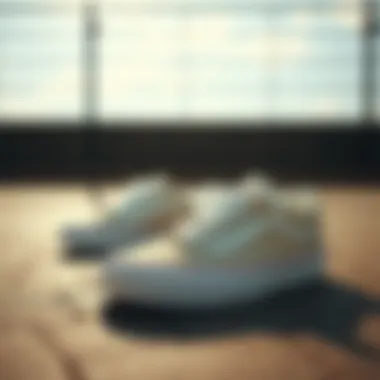 Iconic Vans UA Era sneaker design